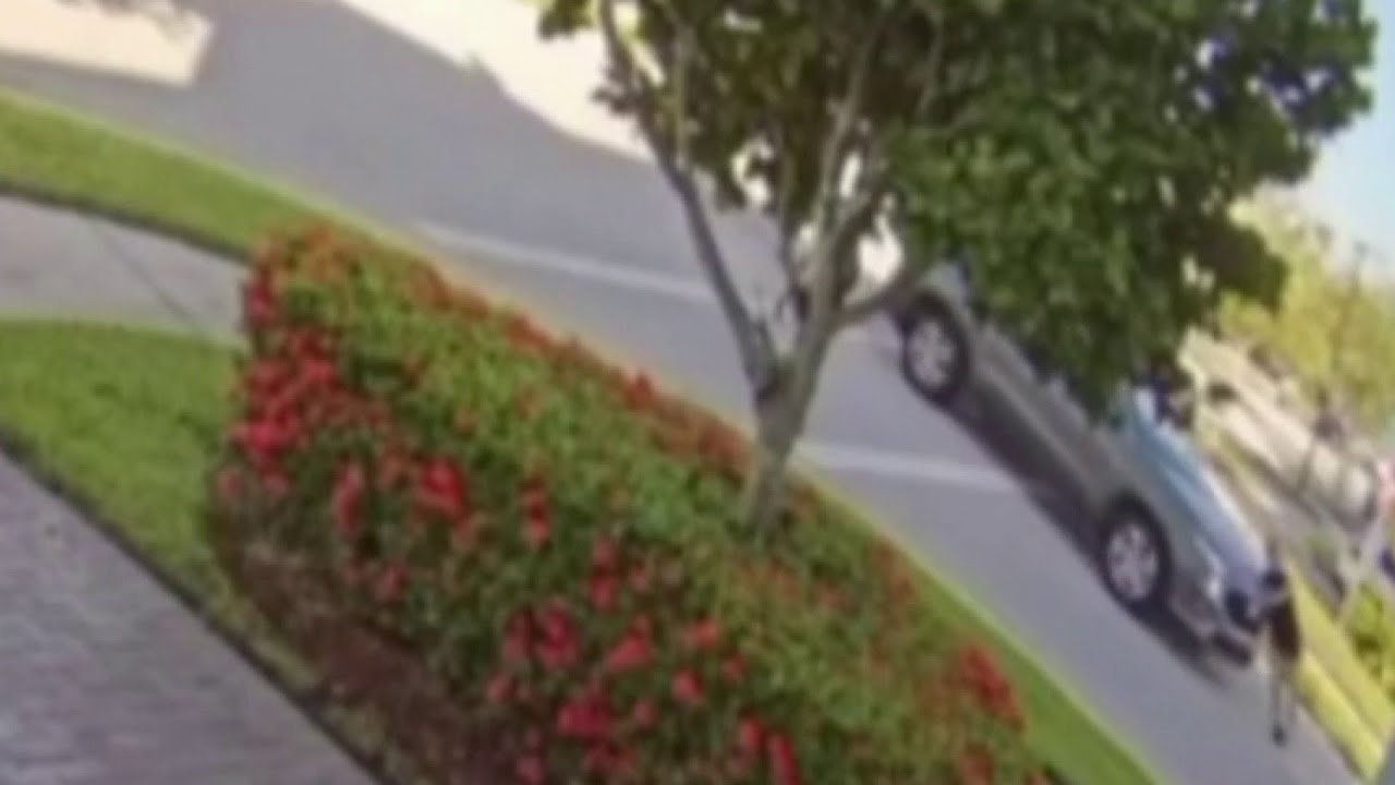 Video shows Amazon driver hitting woman pushing baby in stroller; cops say she fled scene