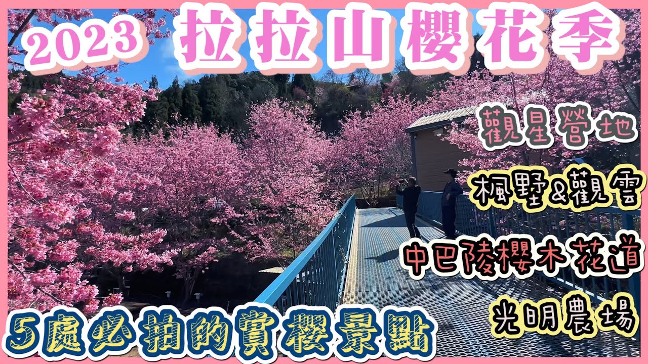 2023 拉拉山5個賞櫻秘境 昭和櫻大爆發 I 粉紅櫻花海的觀星營地 I 楓墅休憩庭園及觀雲休憩農莊 I 中巴陵櫻木花道 I 光明農場的馬告甕仔雞及白色霧社櫻 I 附上完整的攻略指南