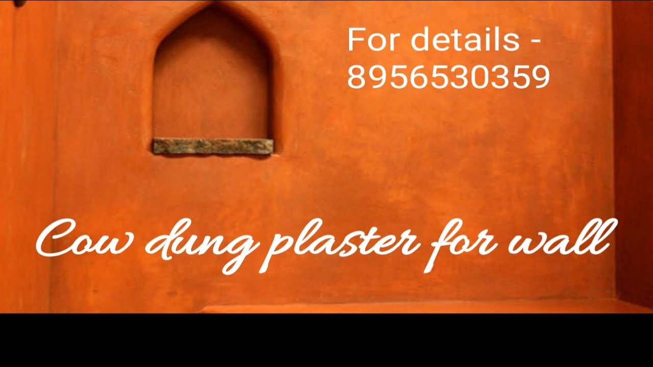 #cowdung wall plaster! Contact -8956530359
