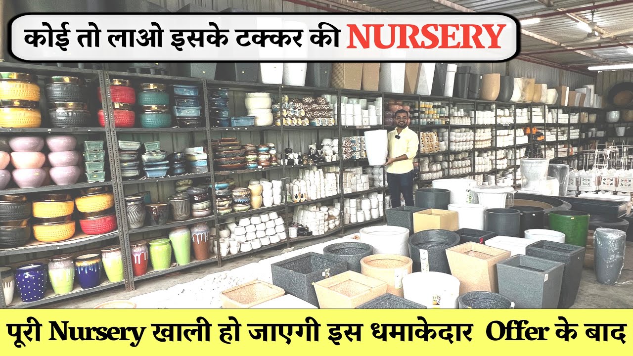 100 की चीज 15 में सबसे सस्ता - पूरी Nursery खाली हो जाएगी इस धमाकेदार  OFFER के बाद