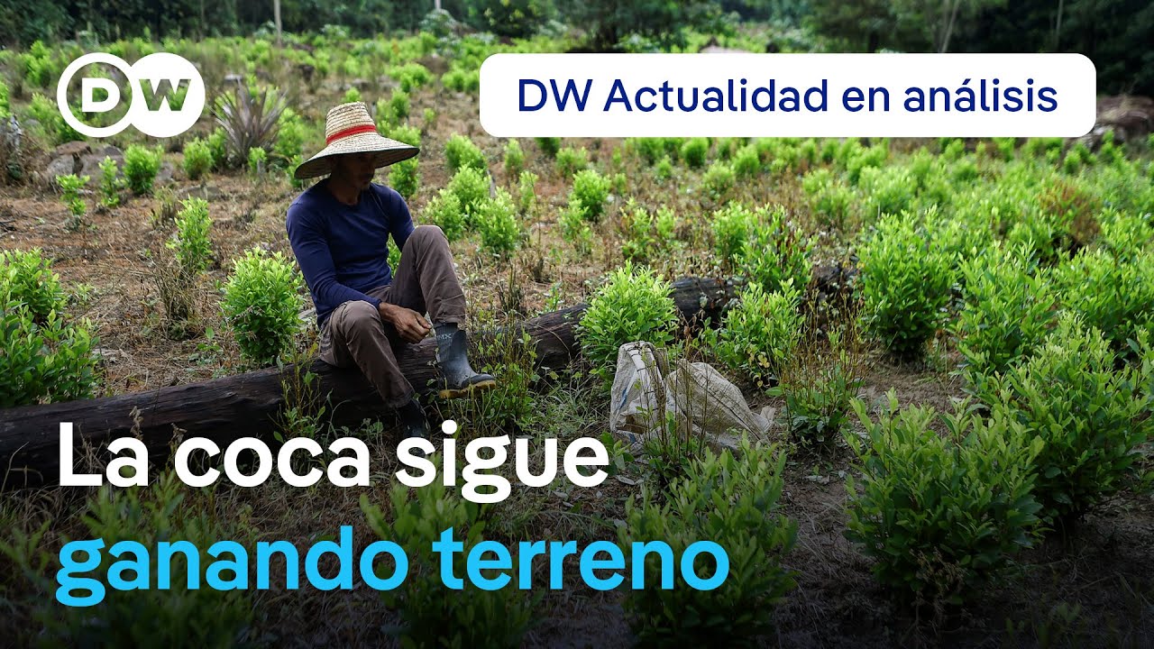 Gustavo Petro confirma aumento en cultivos de hoja de coca en Colombia