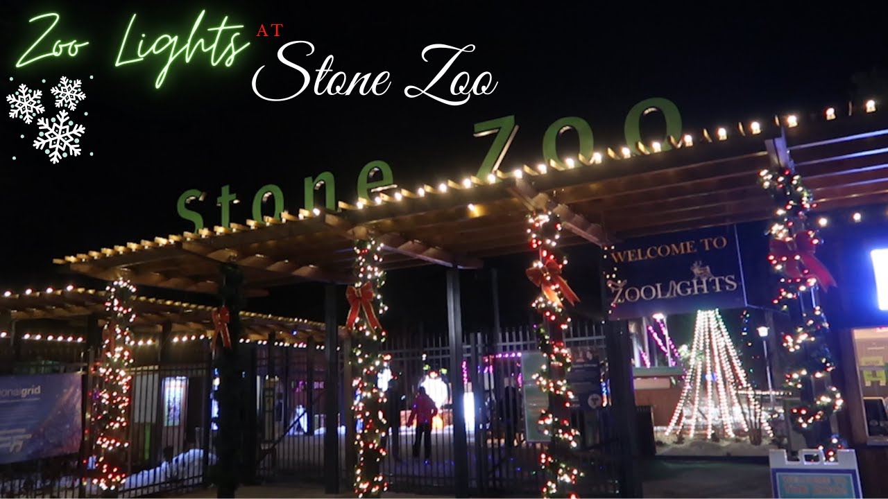 zoo lights and amazing animals! | stone zoo |  vlogmas 2020