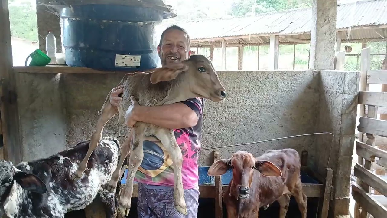 Tivemos que vender  quase todos os gado aqui de casa 