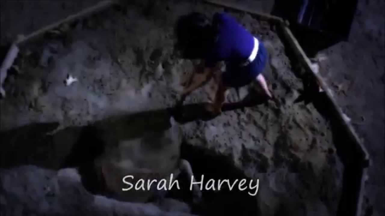 #BigAReveal Who is Charles Dilaurentis + Bethany is Big A (Before 5x25)