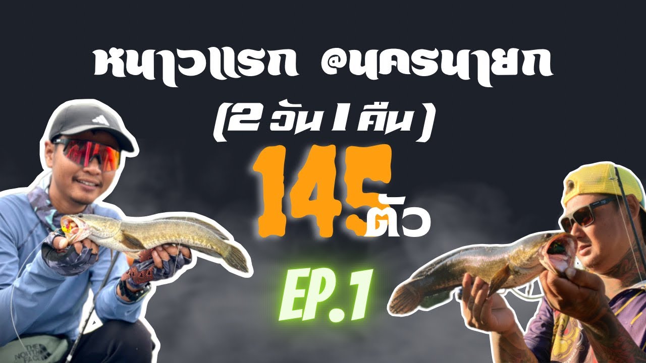 140ตัว!!  ตกเหยื่อปลอม หนาวแรกที่นครนายก EP.1/2 #ข้างทาง #ตกปลา #ต๊าชฟิชชิ่งทาเวล #ฟินฟร๊อกไทยแลนด์