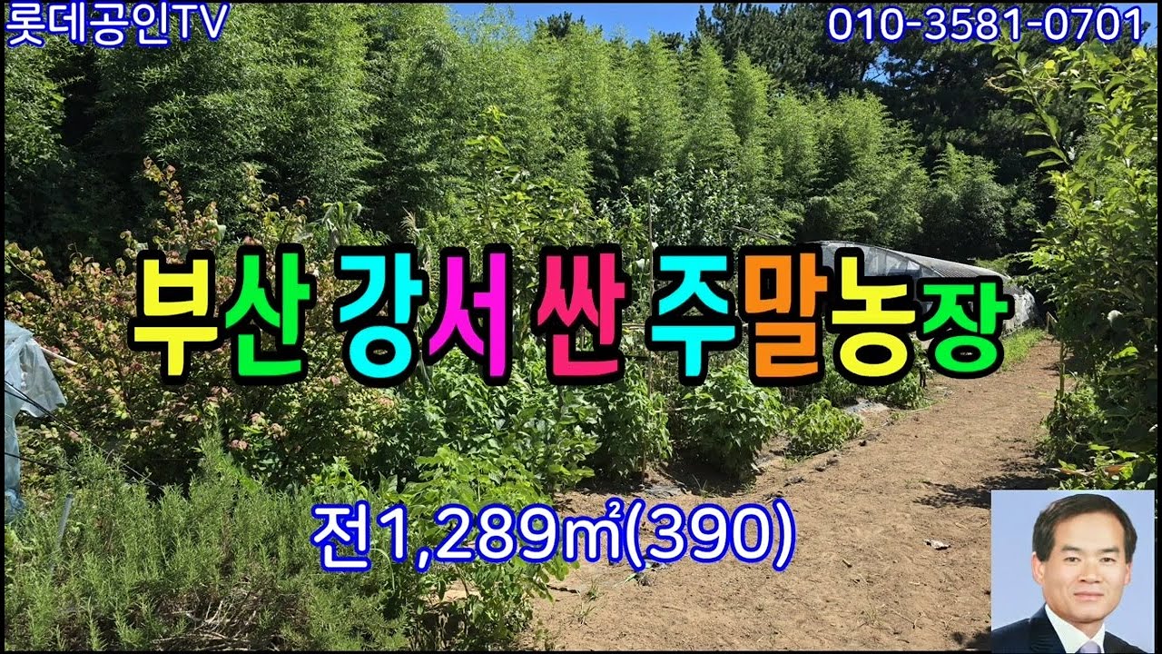 NO.803번. 부산 강서구 싼 주말농장, 田 1,289㎡ (390) 농막1동,비닐하우스1동,전기,수도있음.