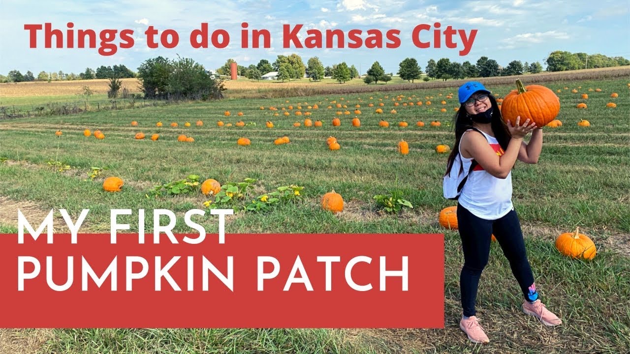My First Pumpkin Patch || Kerby Farm, Place to visit in Kansas City