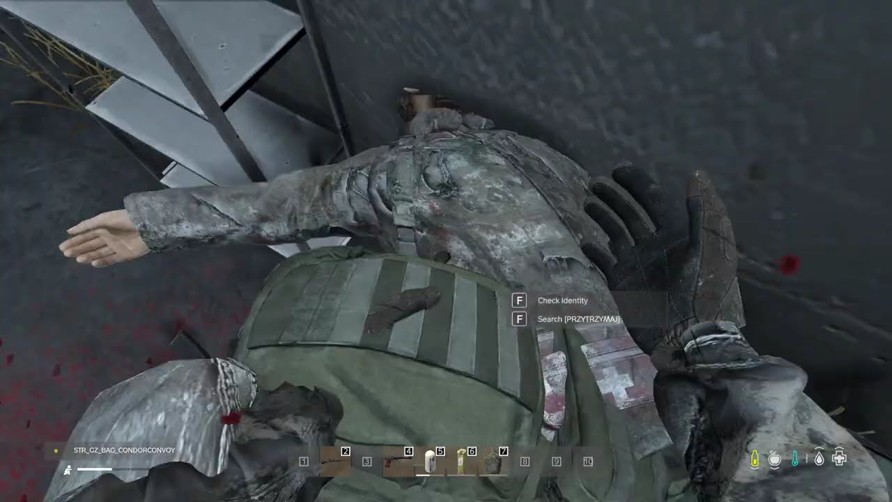 DayZ Mała Pomyłka