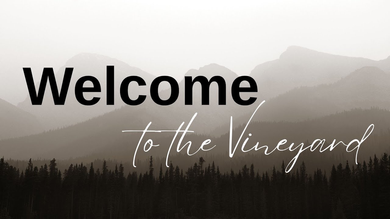 Welcome to the Vineyard