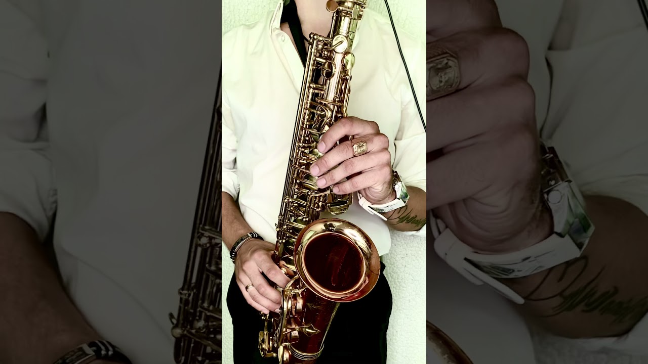 Dalida, Alain Delon - Paroles, paroles (SAX cover by OppositeMus)