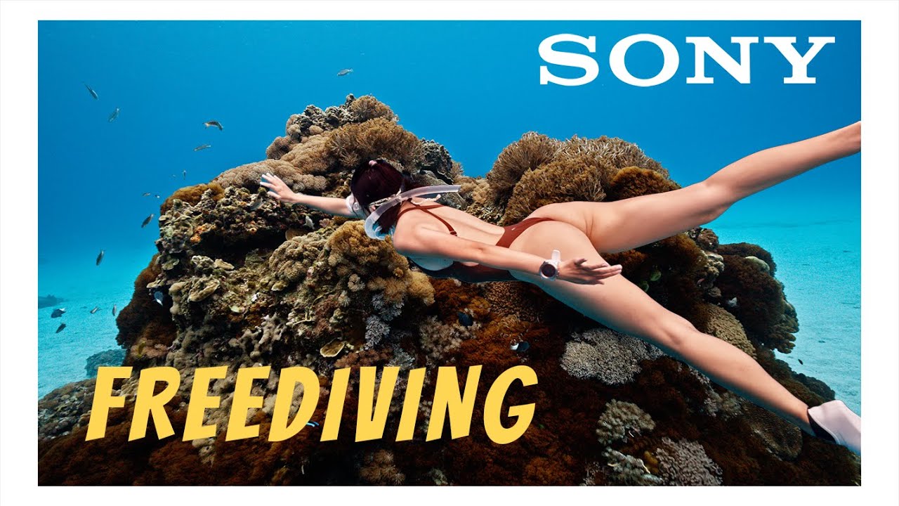 YOU & I | FREEDIVING IN TAIWAN | Atoms Prores RAW | SONY A1 #自由潛水 #綠島