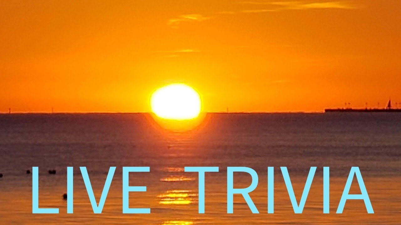 From Van Life to Brain Teasers – Night Hangout