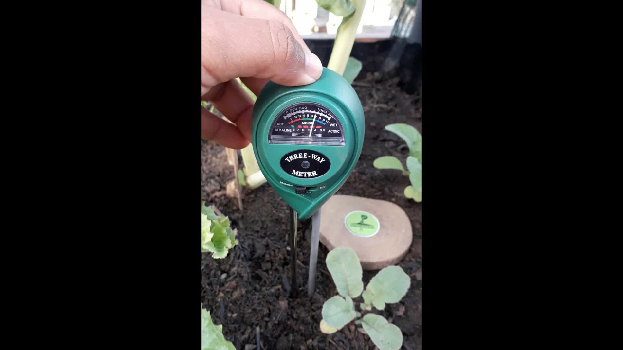 Medidor de PH Humedad  y Luminosidad para Controlar el Etado de Plantas Flores de Jard&iacute;n y Cultivo