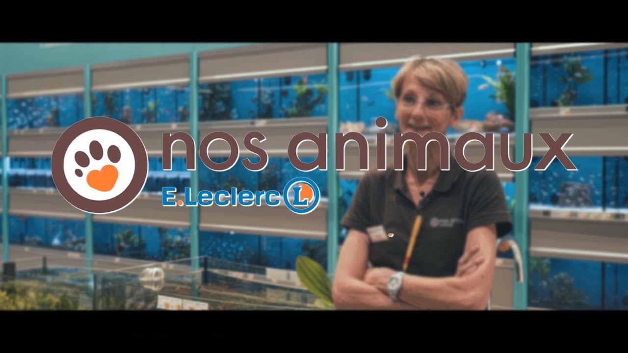 🐶Nos Animaux - E.Leclerc Quimperlé