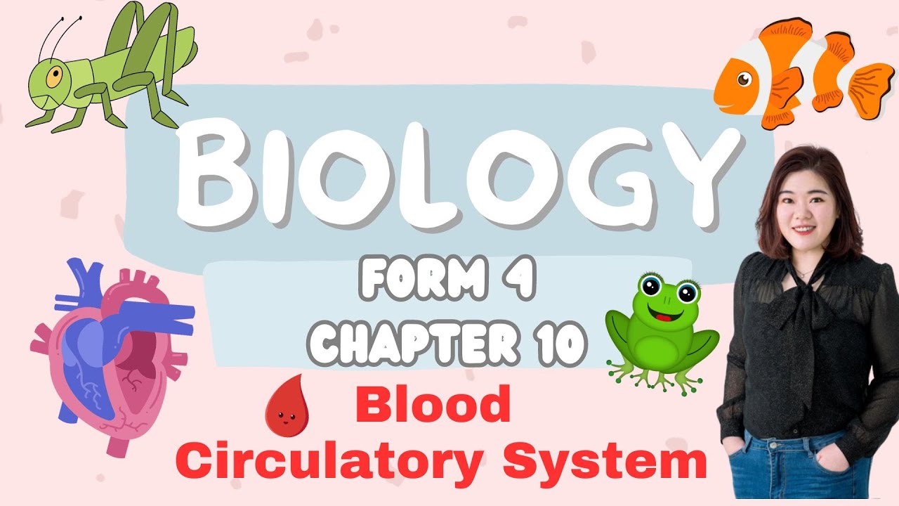 【中文讲解】KSSM Form 4 Biology Chapter 10 Blood Circulatory System