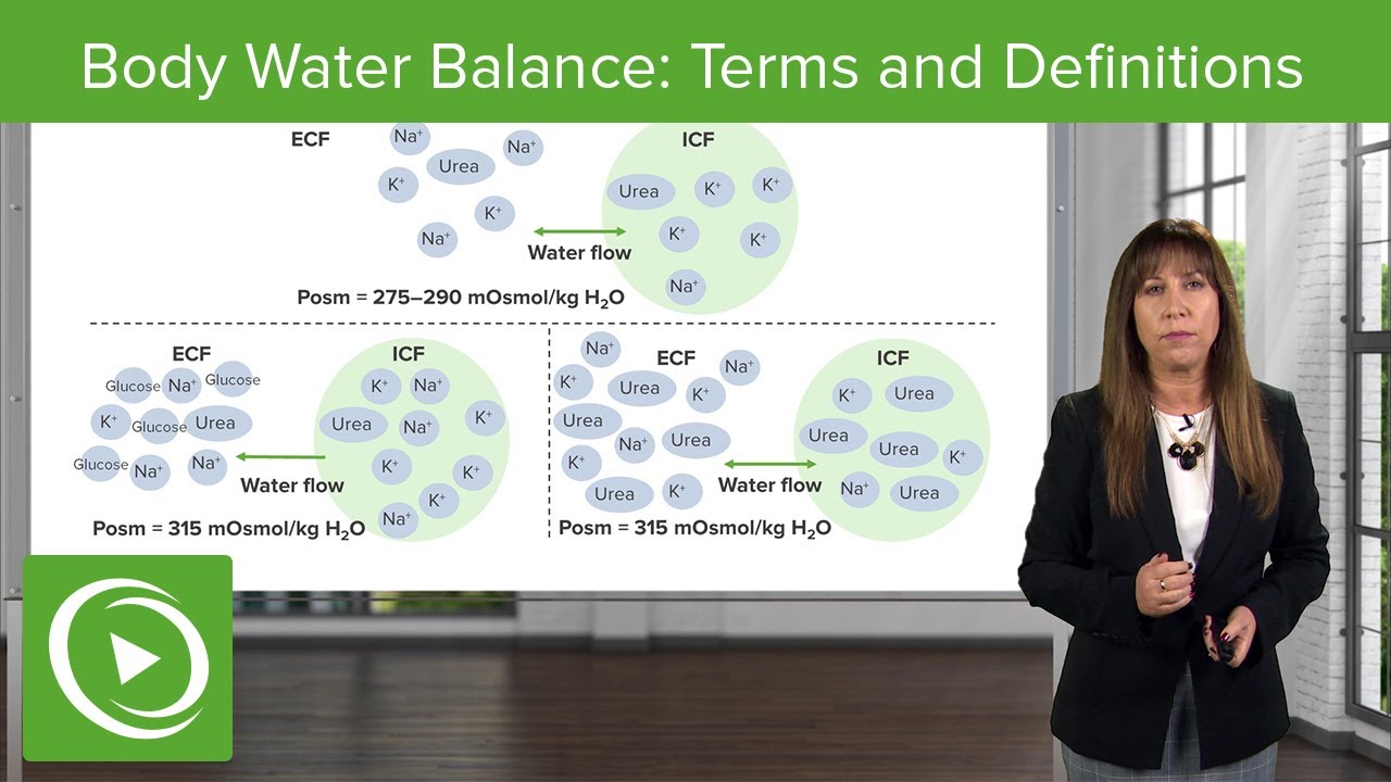 Body Water Balance: Terms and Definitions &ndash; Nephrology | Lecturio