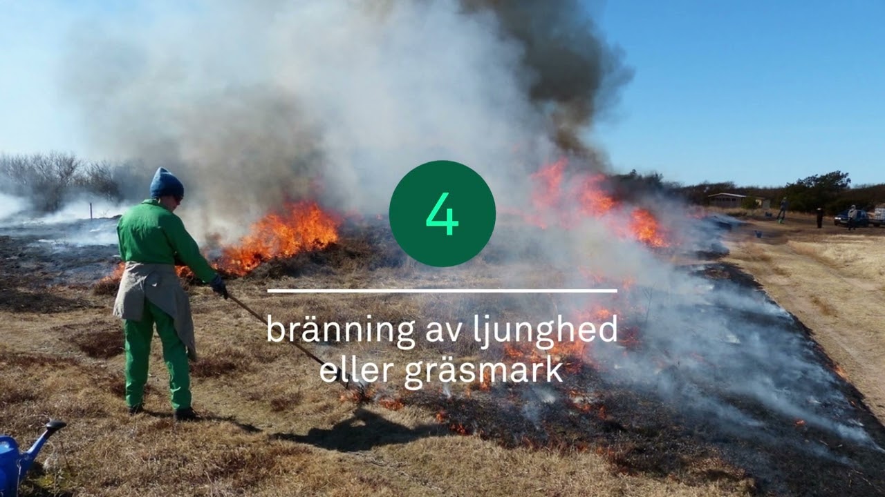 Ersättning för åtgärder i ängs- och betesmarker