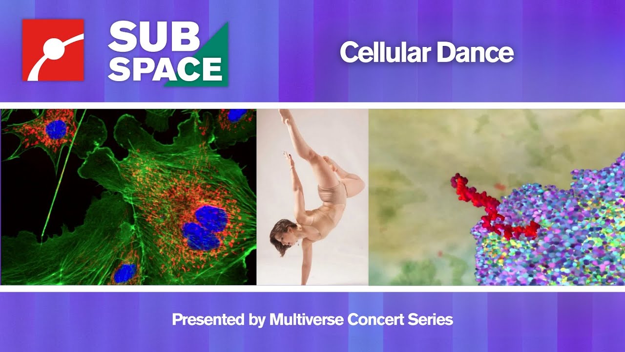 How Cells Move: The Science Behind Life’s Choreography