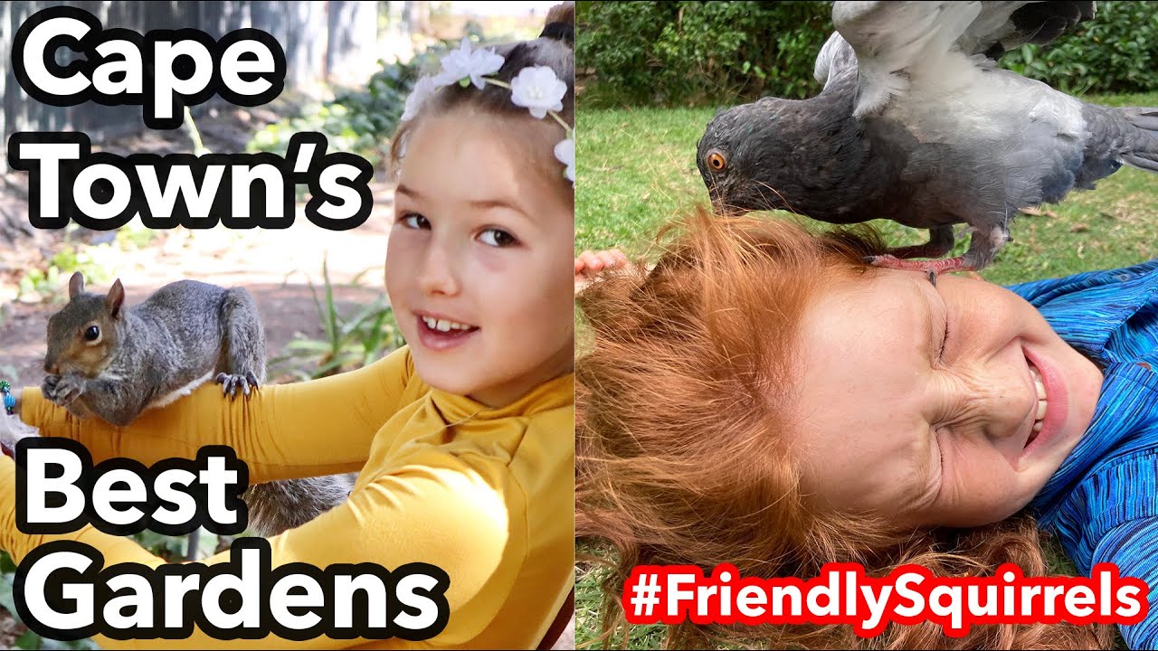 Kids Explore Squirrels and birds of Cape Town's Company Gardens and World Renown Kirstenbosch Garden