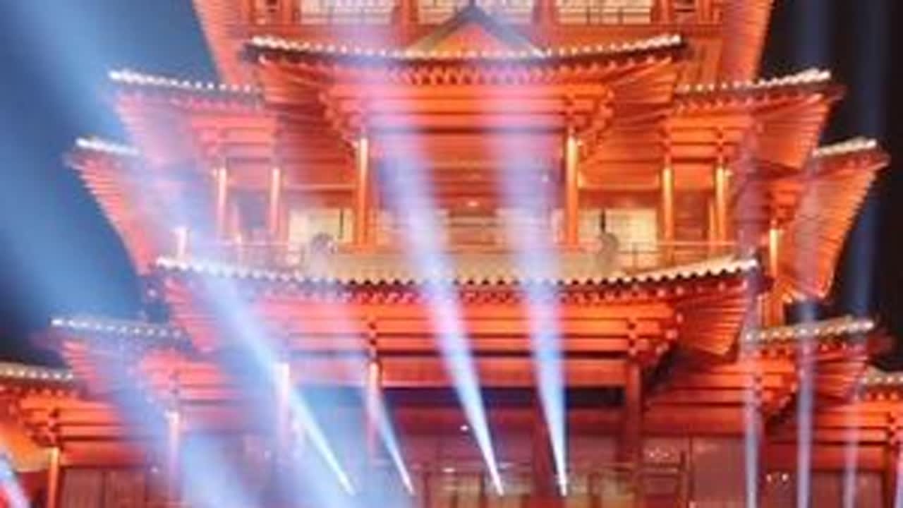 来成都世博园，体验南北年味儿的光影盛景，不负新春好时光 #2026新春灯会 #逛世博园灯会过红火马年  #川渝灯会马年封神了 #世博园灯会点亮成都年  #抖音新春吃喝玩乐节