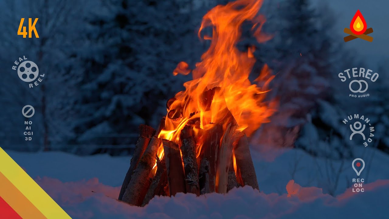 Spruce forest winter ❄️🔥 CAMPFIRE (12 hours – mid-roll ads turned off)