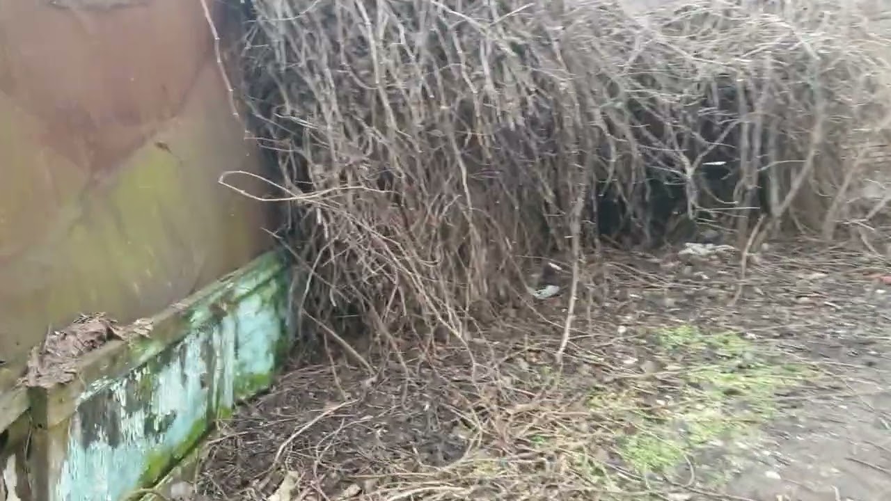 Еле успела! 