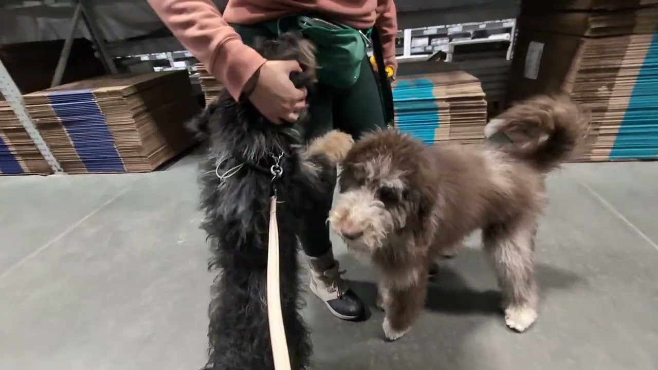Smith at Lowe's *no sound*