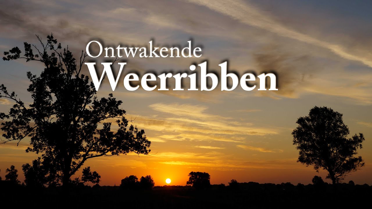 NATUUR OP ZIJN BEST - varen in Nationaal park De Weerribben