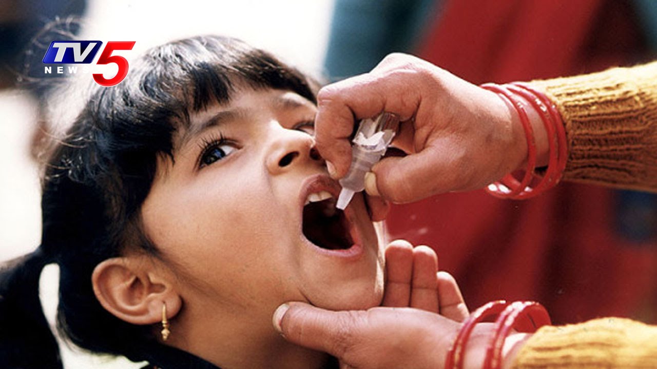 Pulse Polio Vaccine Drive in Telugu States | National Immunisation Programme | TV5 News