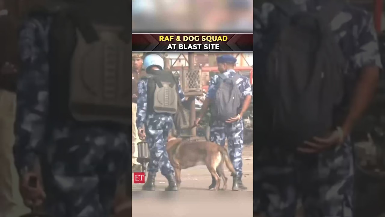 Delhi Blast: Rapid Action Force (RAF), Dog Squad reaches Delhi blast site