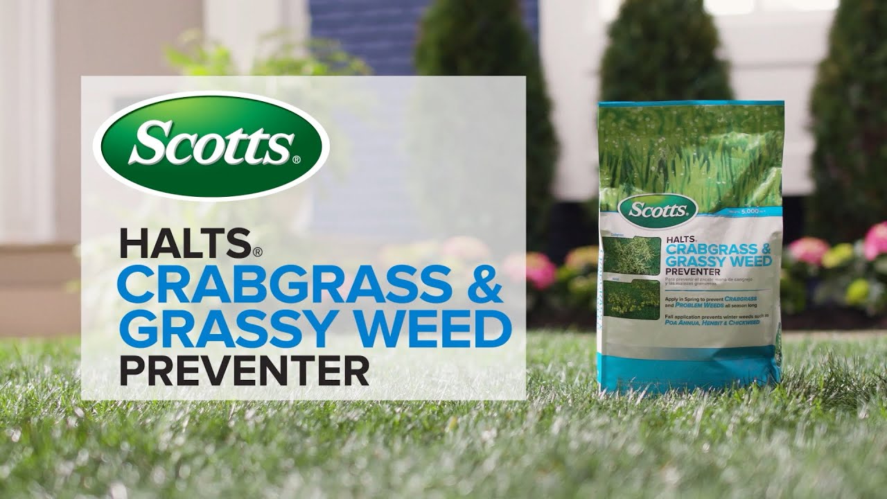 How to Use Scotts&reg; Halts&reg; Crabgrass & Grassy Weed Preventer