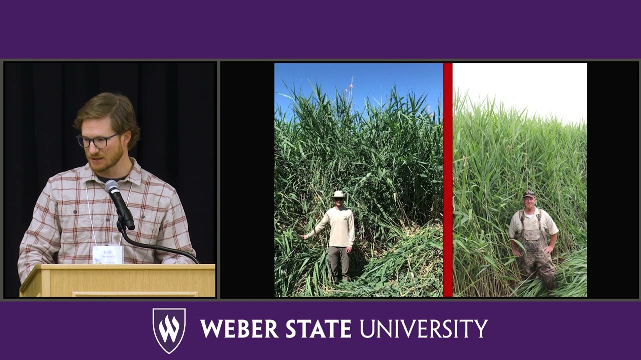 Keith Hambrecht - Treating Phragmites in Great Salt Lake and its Wetlands - Confluence 2026