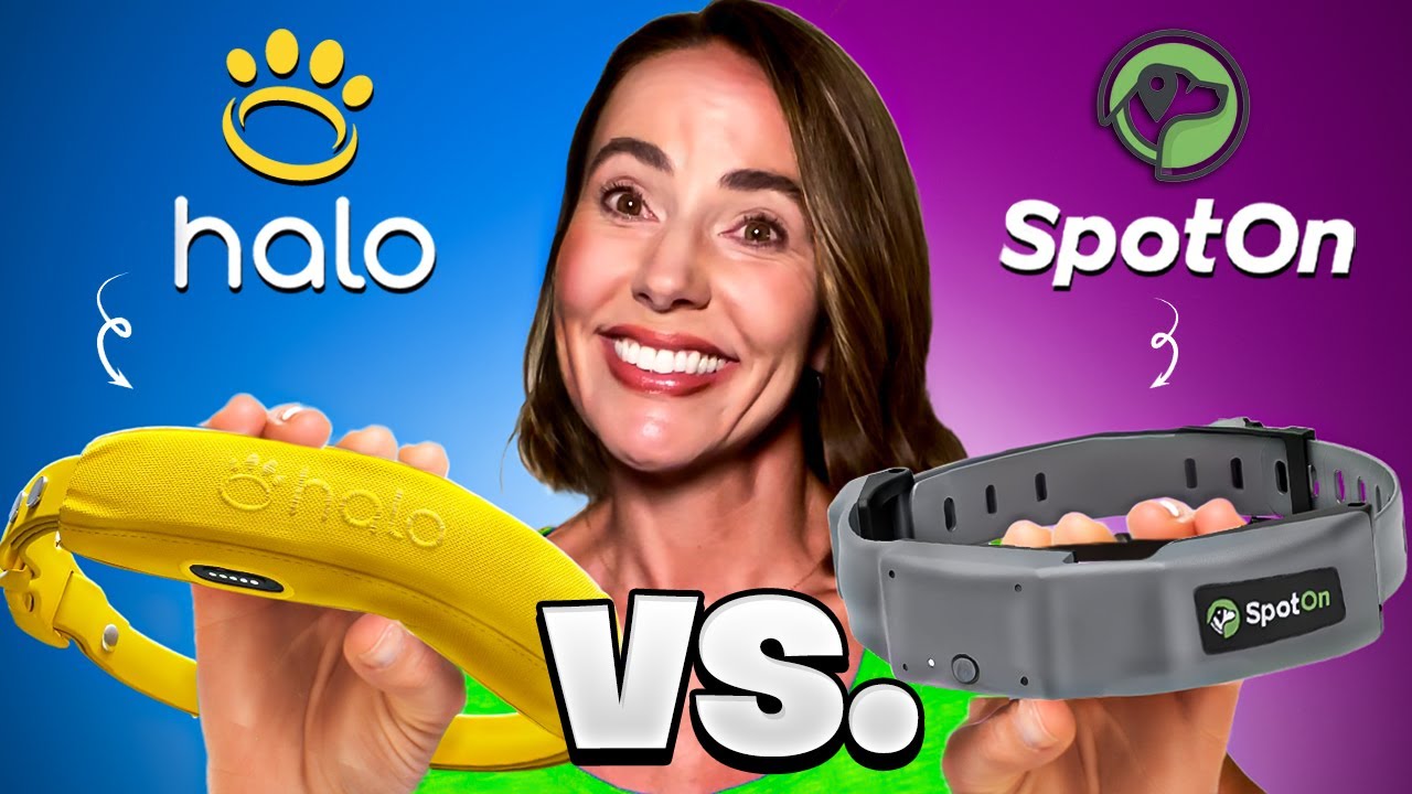 SpotOn vs. Halo Collar 4: Which One is Safe and Reliable?