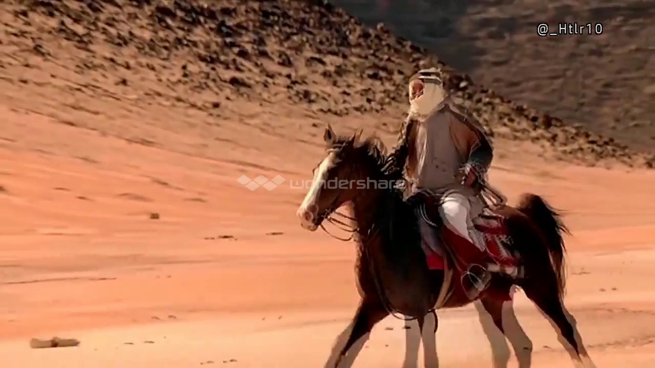 شيلة الشيابين |كلمات شجاع الشيباني |اداء بدر فهد|تنفيذ شيلات الشيباني |