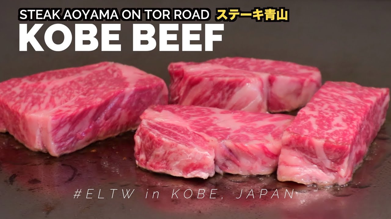 Best restaurant for Kobe Beef (Steak Aoyama Review) || Japan Travel Guide Series 2018 🇯🇵  Kobe