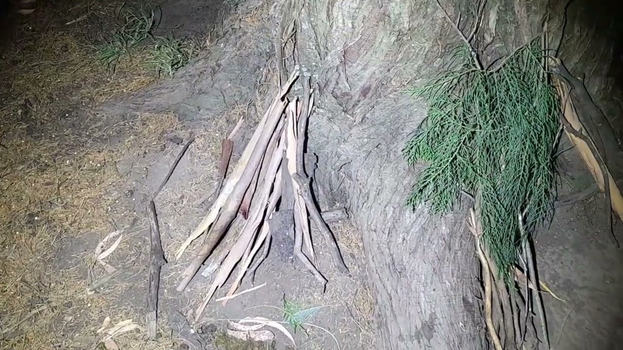 5 Feb 2026 -  part 1 - Juvy prints - vid cut off 
