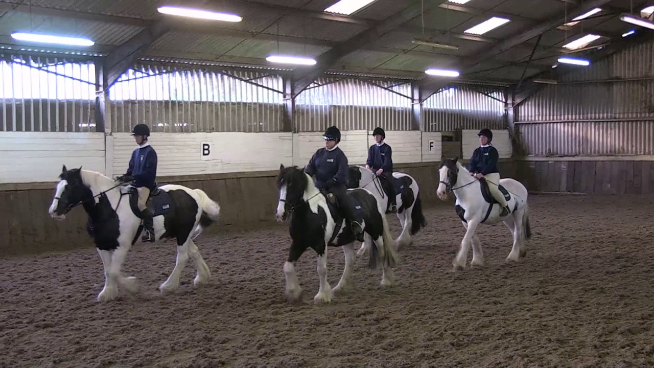 Bradbourne RDA Musical Ride - 2016