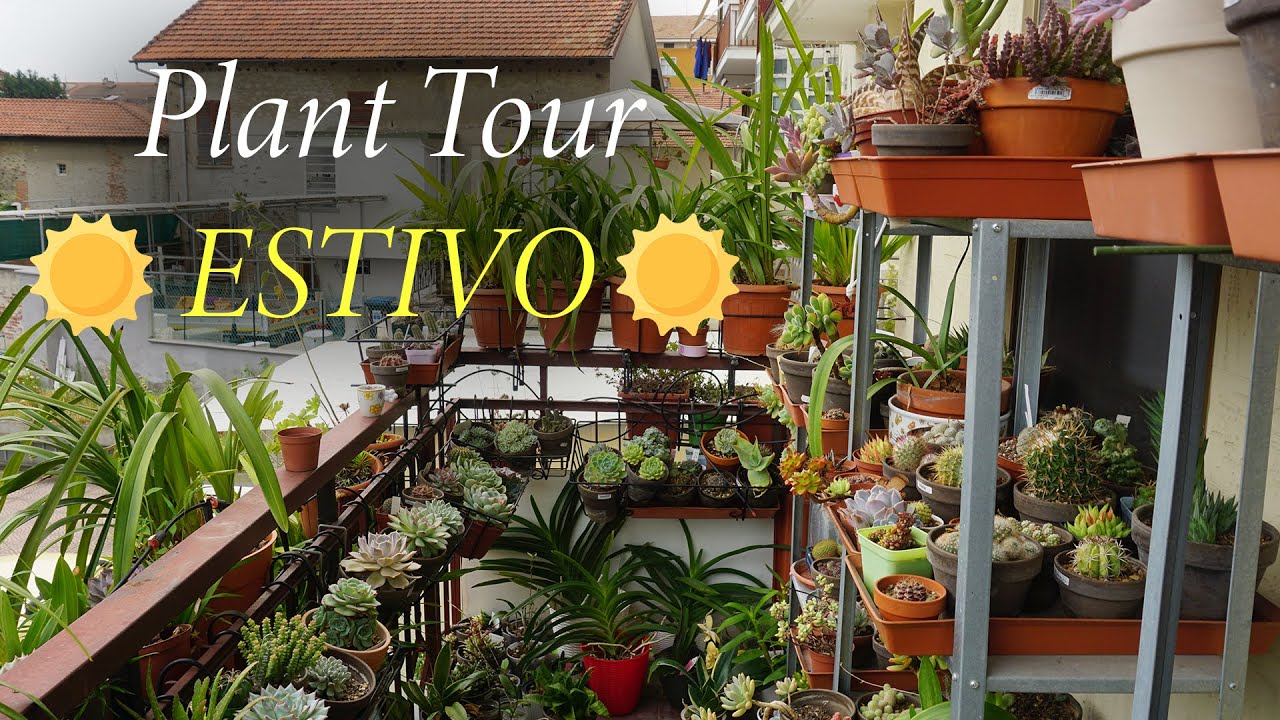 Un Plant Tour Estivo + update