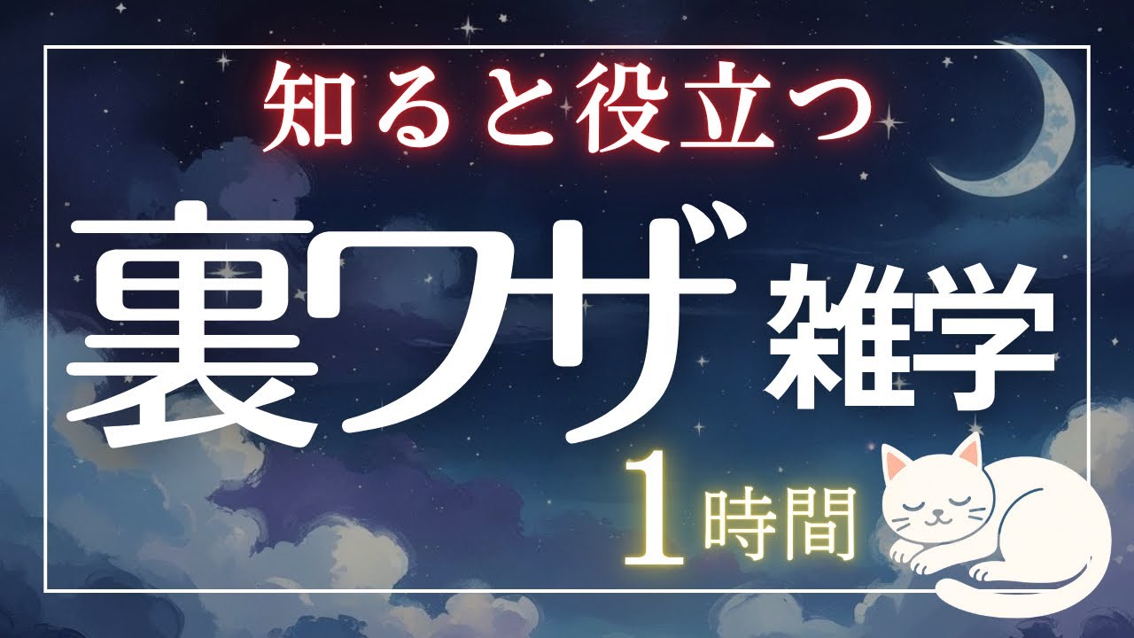 【見逃し厳禁】明日から使えるライフハック雑学1時間【睡眠導入】