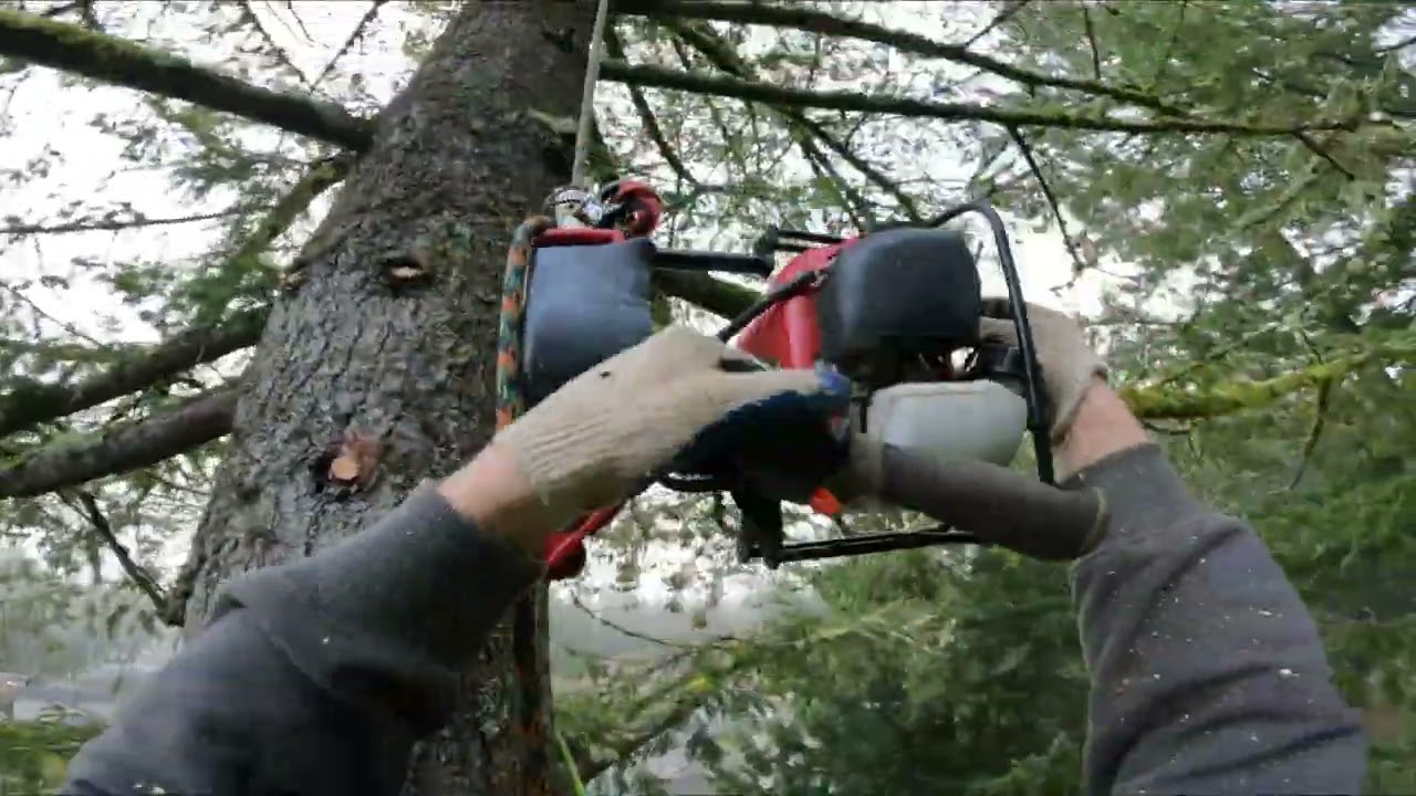 Tree Removal Using Rope Wraptor