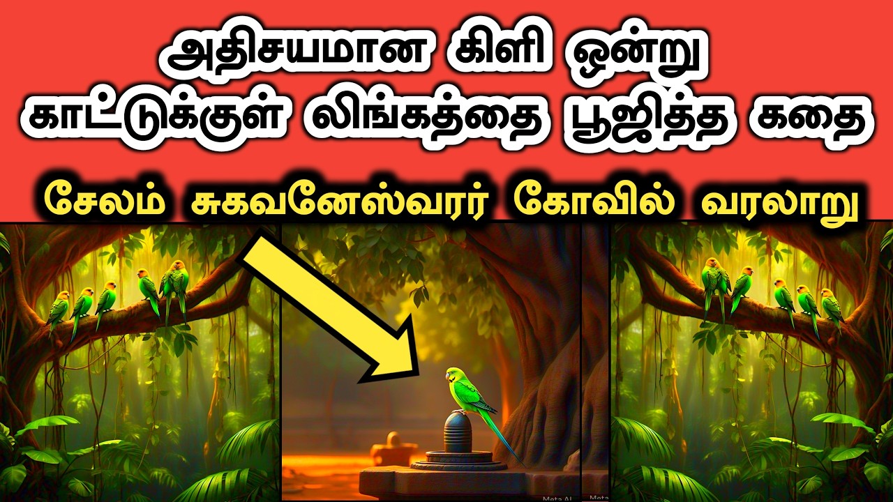 சேலம் சுகவனேஸ்வரர் கோவில் வரலாறு | Salem Sugavaneshwarar Temple History in Tamil