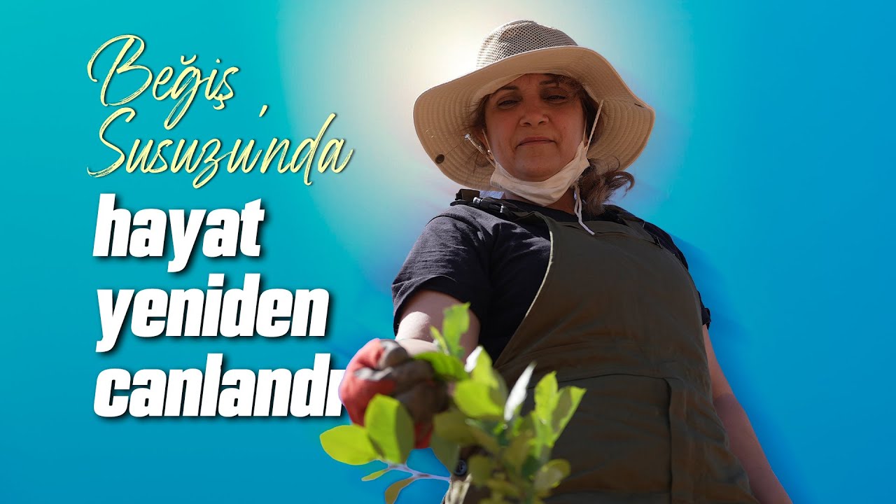 Beğiş Susuzu'nda hayat yeniden canlandı