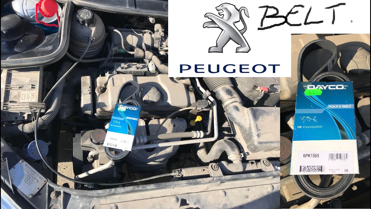 Peugeot 206 1.4 Belt change,courroie remplacée,belte byttet,Riemen ausgetauscht,correa remplazada,4K