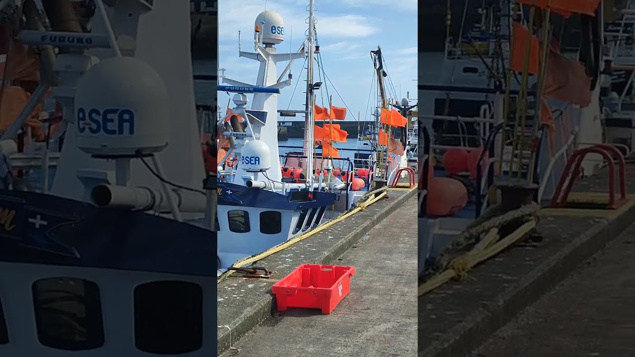 Newlyn Harbour and Fish Market Cornwall UK