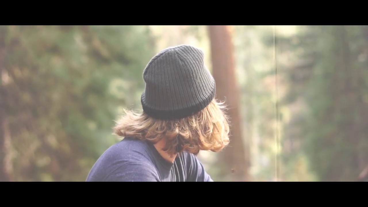Sequoia