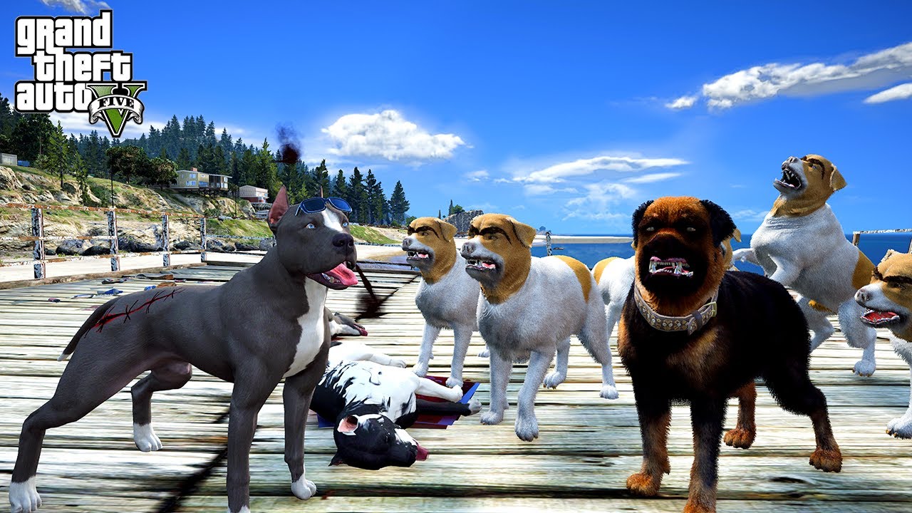 TERMİNATÖR KEKO AŞİRETİNİN LİDERİ KIRO AGAYLA DÖVÜŞÜYOR! - GTA 5 PİTBULL'UN HAYATI