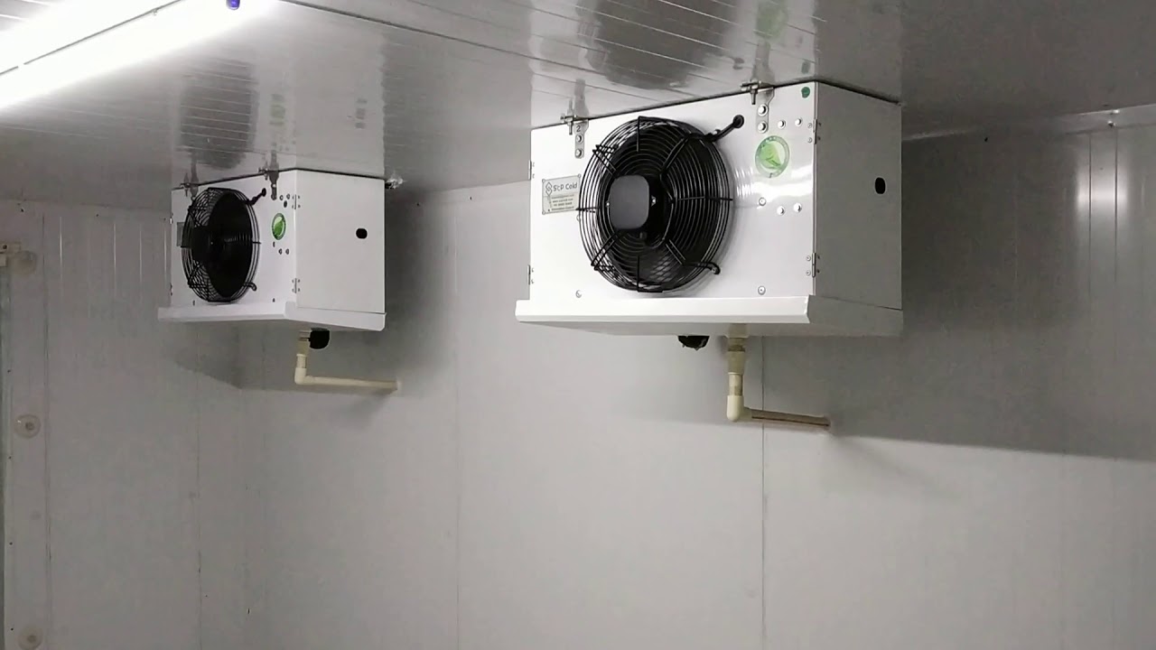 1000CFT Ice Cream Cold Storage Havmor Ice Cream Ahmedabad