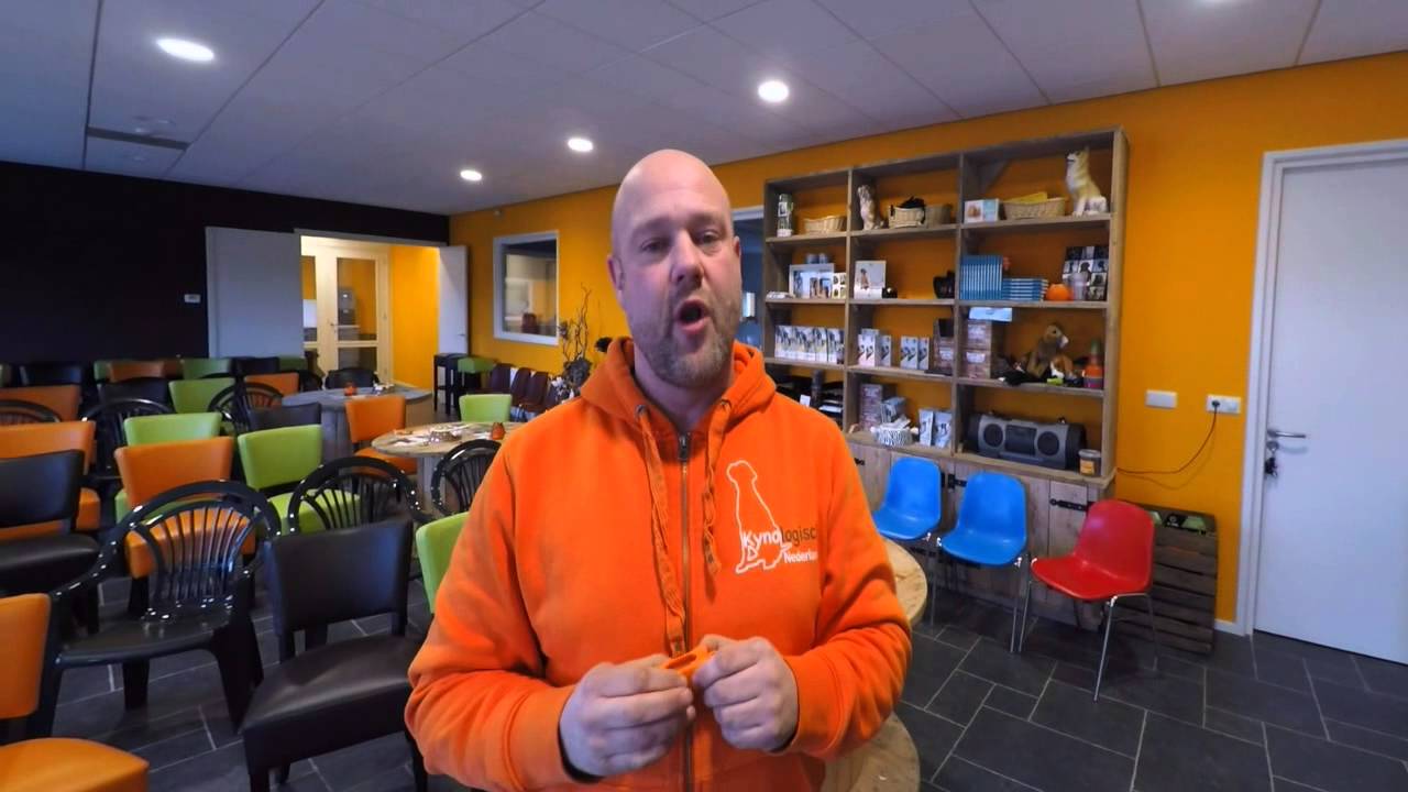 Clickertraining