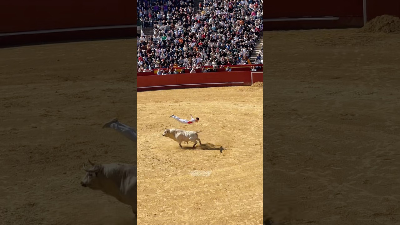 Salto Del &Aacute;ngel De Marcos Esp&iacute; A Este Toro De La Finca ToroPasi&oacute;n #shorts