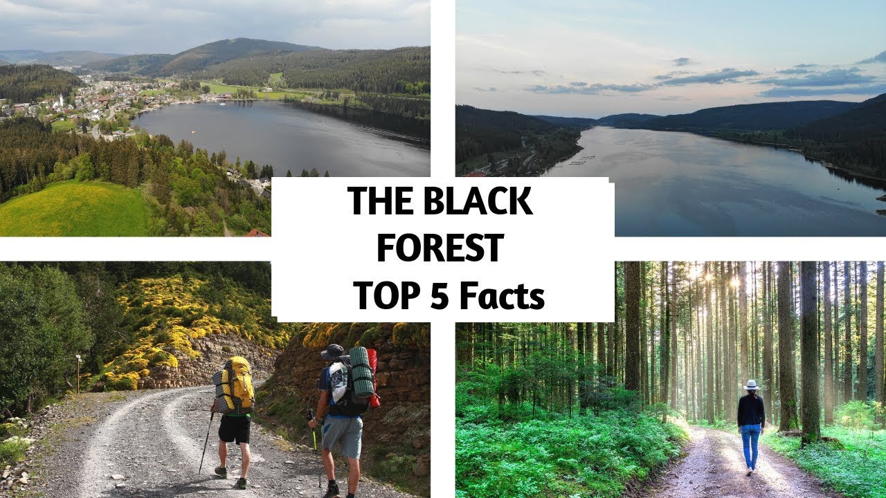 The Black Forest Germany Top 5 Fact - Feldberg Mountain, Lakes, Creeks and more..